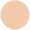 Estee Lauder Double Wear Stay-In-Place Radiant Concealer - 2N Light Medium (10ml)