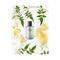Marks & Spencer Water Jasmine Eau De Toilette - (100ml)