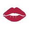 Matt Look Velvet Smooth Non-Transfer Lipstick - 27 On Fire (2g)