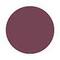 Matt Look Nails Makeup Colour Therapy Nail Polish - 05 Shade (14ml)