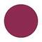 Matt Look Nails Makeup Colour Therapy Nail Polish - 24 Shade (14ml)