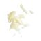L'Occitane Shea Butter Extra Gentle Verbena Soap - (250g)