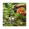L'Occitane Hands & Body Verbena Liquid Soap Refill - (500ml)