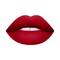 Matt Look Stay Matte Lipstick - 04 Velvet Maroon (3.5g)