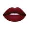 Matt Look Stay Matte Lipstick - 06 Sizzler (3.5g)
