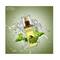 Lotus Herbal Basiltone Cucumber & Basil Clarifying & Balancing Toner - (100g)