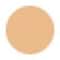 Garnier Bright Complete Vitamin C BB Cream (18g)