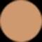 PLT L'Oreal Paris Infallible 24H Fresh Wear Foundation, 260 Golden Sun