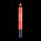 Chambor Extreme Matte Long Wear Lip Colour - Blazing Orange 08 2.8 gm