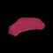 Chambor Matte Riot 258 - Wild Rose 4.5 gm