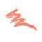 Wet N Wild Megaslicks Balm Stain - See If I Carrot! (3g)