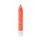 Wet N Wild Megaslicks Balm Stain - See If I Carrot! (3g)