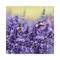 L'Occitane Huile Reparatrice Repairing Oil - (100ml)