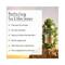 L'Occitane Strength & Volume Shampoo Refill - (500ml)
