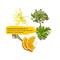 L'Occitane Intense Repairing Shampoo - (300ml)