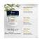 L'Occitane Almond Milk Concentrate Refill - (200ml)