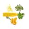 L'Occitane Intense Repairing Shampoo - (75ml)