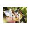 L'Occitane Reine Blanche Brightening Sleeping Mask - (65ml)