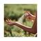 L'Occitane Verbena Hair & Body Invigorating Mist - (50ml)