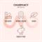 Charmacy Milano Soft Satin Matte Lipstick - Brown Sugar No. 47 - (3.8gm)