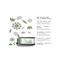 Aminu The Forest Bath Vit B Enzyme Scrub - (50g)